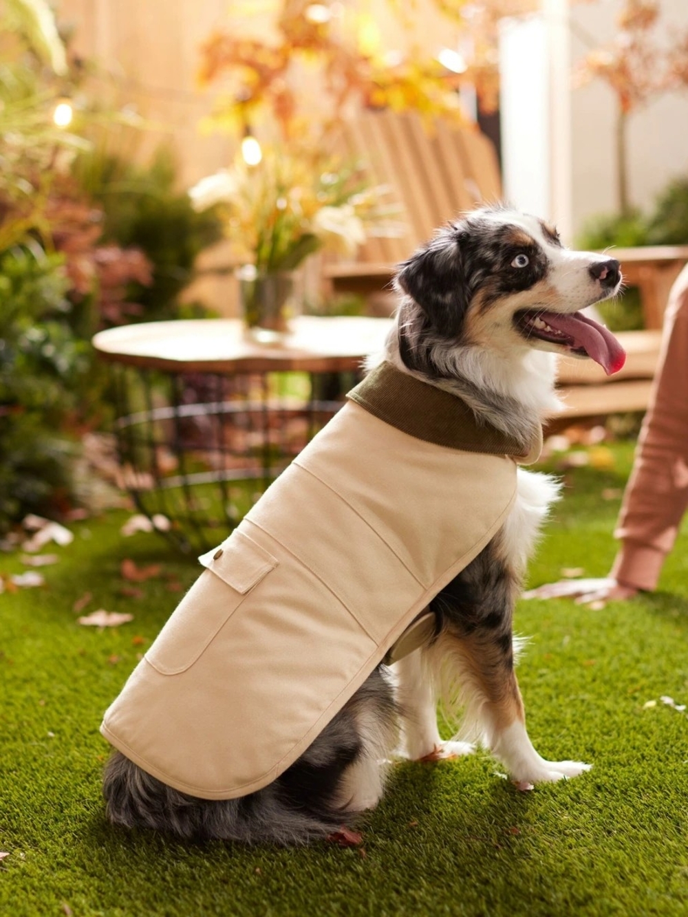 Frisco Canvas Dog Coat with Pocket - Classic Outdoor Jacket‎